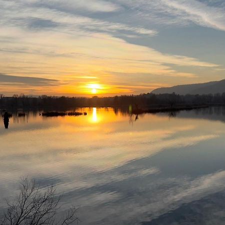 In Riva Al Lago Di Iseo Dependance Primo Piano 마로네 외부 사진